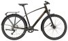 Trek Dual Sport 3 EQ XL Black Olive