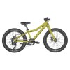 Scott Roxter 20 green - Savana Green - One size